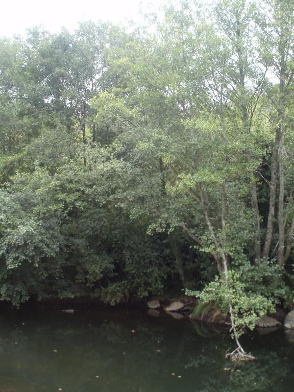 Affittacamere Moinho Da Ponte Velha Bragança Esterno foto